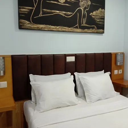بيت ضيافة Faria Guimares Centro